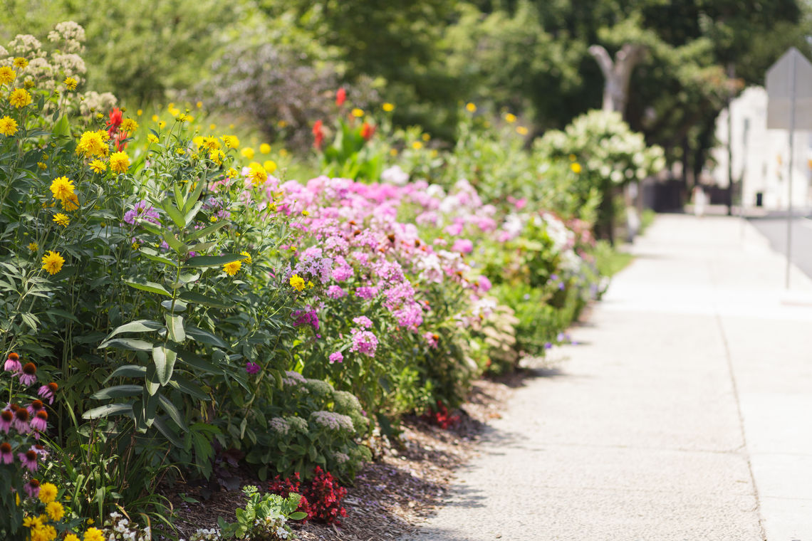 Blue Ribbon Garden