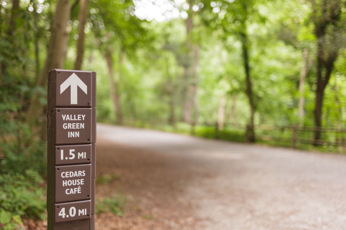 Photo: Wissahickon Valley Park