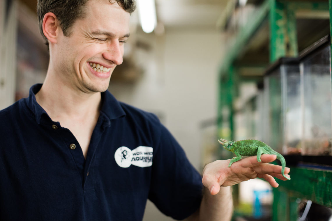 Photo: Worldwide Aquarium Employee