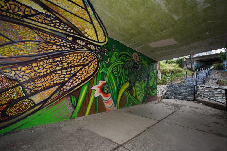 Photo: Fountain Street steps mural by Paul Santoleri