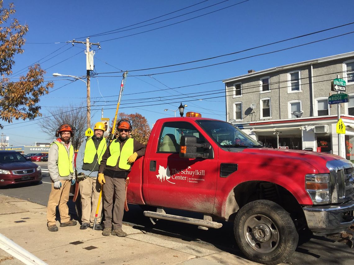 Photo: Schuylkill Center for Environmental Education tending to trees on Ridge Avenue during Giving Tuesday.