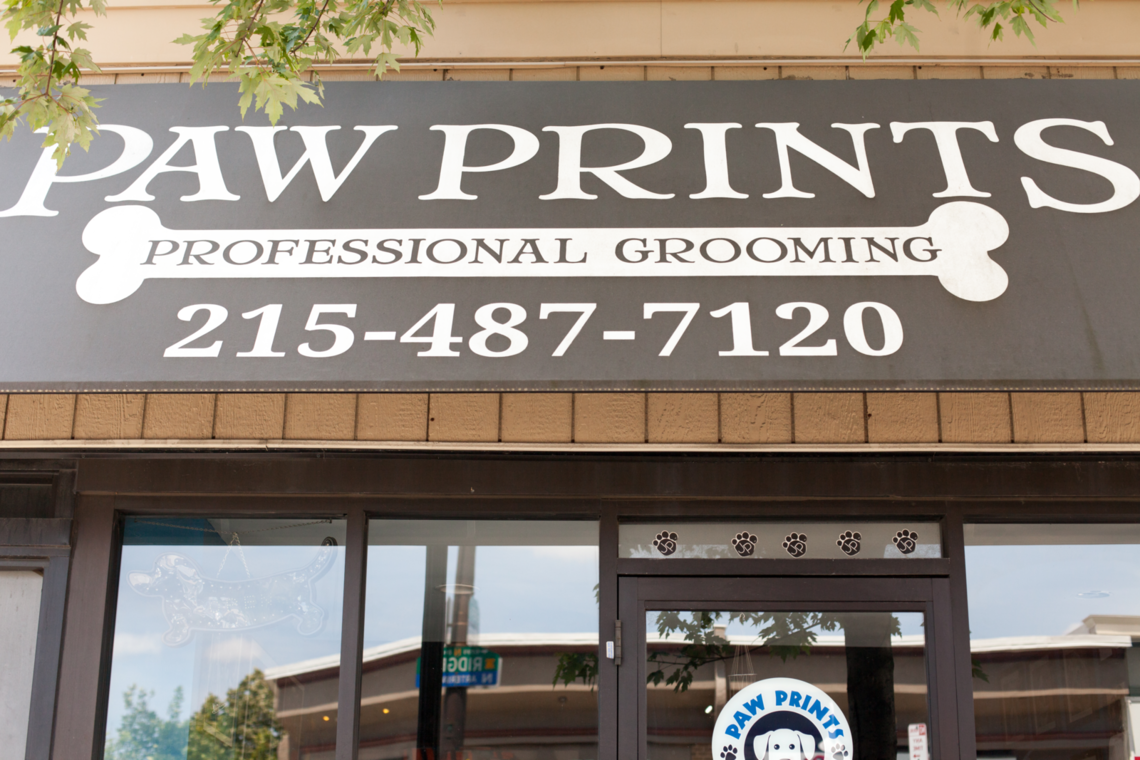 Photo: Paw Prints Professional Grooming