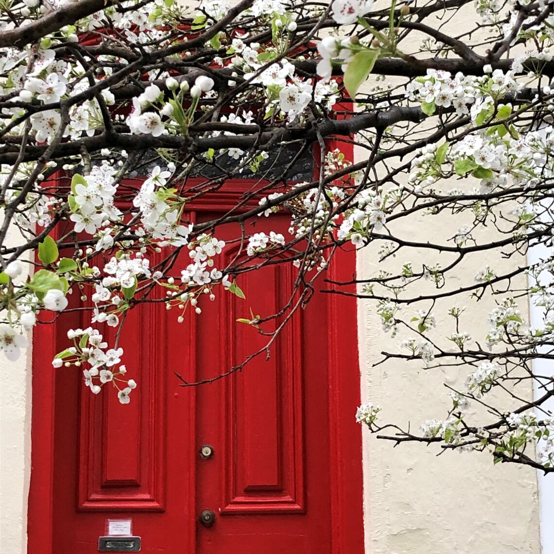 Photo: places green lane red door