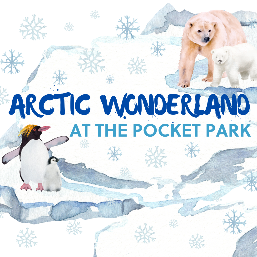 Photo: artic wonderland at the pocket park postcard instagram post square 3
