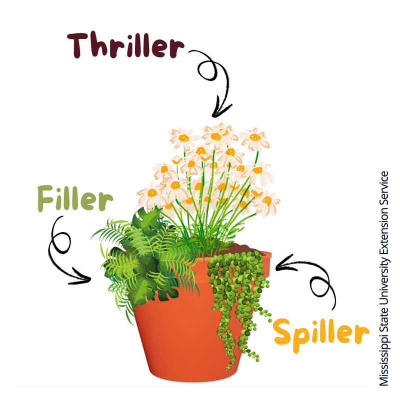 Thriller filler spiller